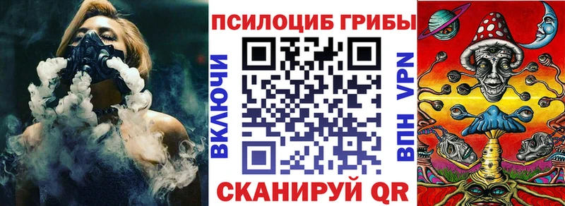 Купить где  Сыктывкар  Галлюциногенные грибы Cubensis 